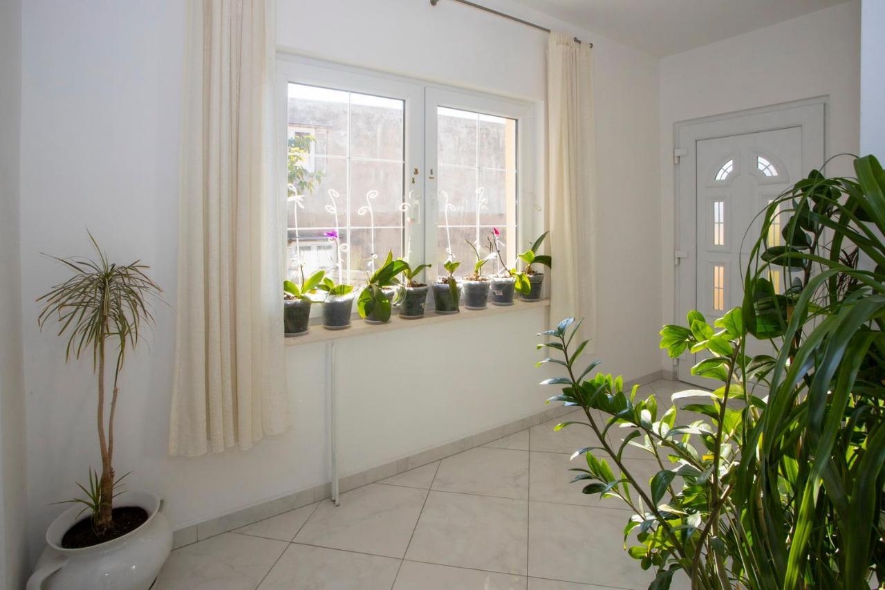 Villa Milenka - Apartmani Gorana Tučepi Zewnętrze zdjęcie